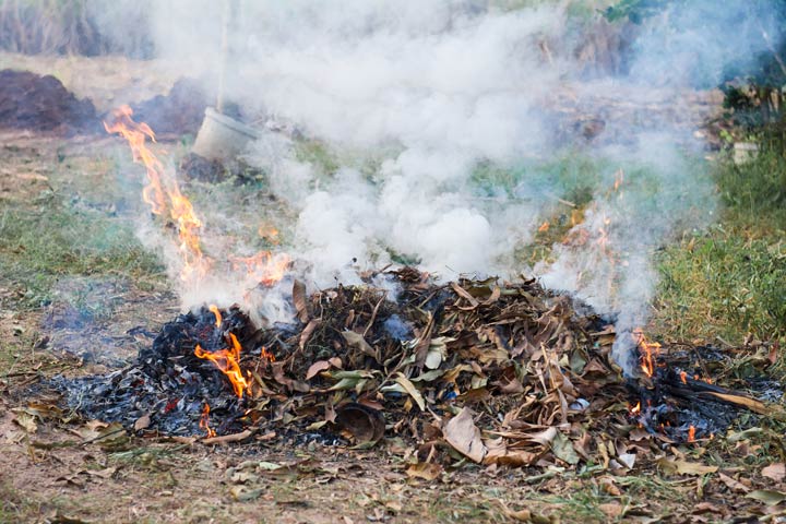 Feuer mit Pflanzenabfällen