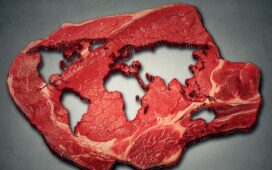 Wie wirkt sich unser Fleischkonsum auf das Klima aus?