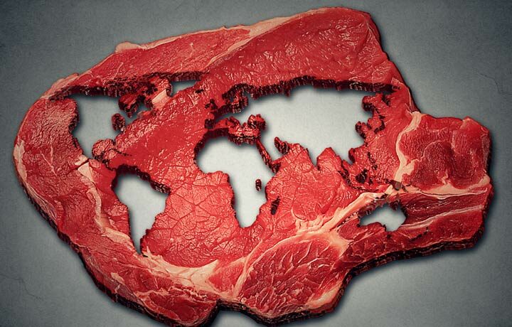 Wie wirkt sich unser Fleischkonsum auf das Klima aus?