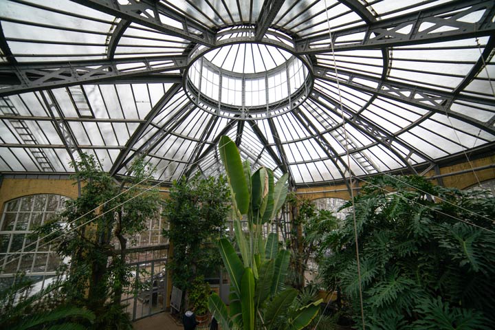 Hortus Botanicus in Amsterdam