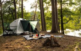 Wildcamping