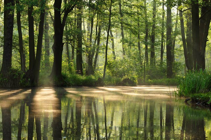 Spreewald als märchenhaftes Wasserlabyrinth