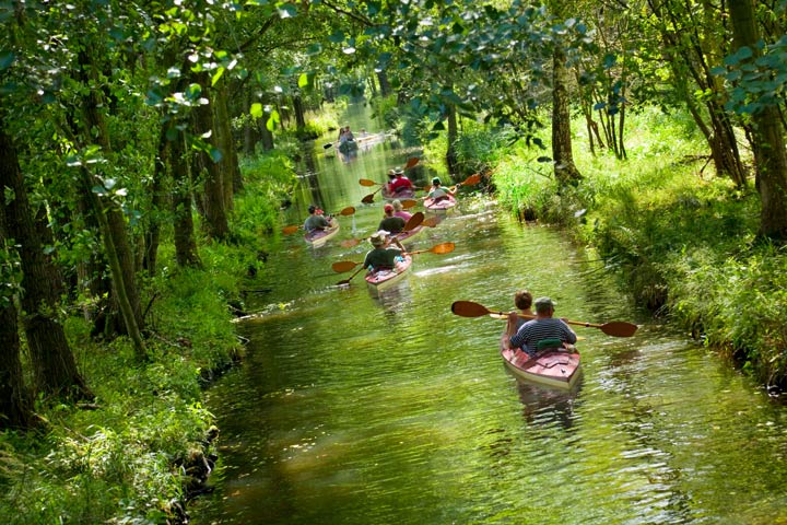 Wasseraktivitäten im Spreewald
