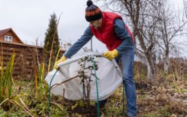 Garten winterfest machen
