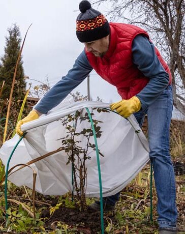 Garten winterfest machen