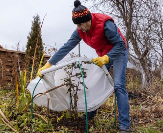 Garten winterfest machen