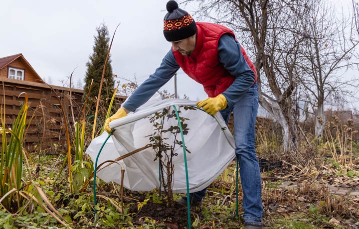 Garten winterfest machen