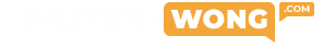 Mister-Wong.com Logo